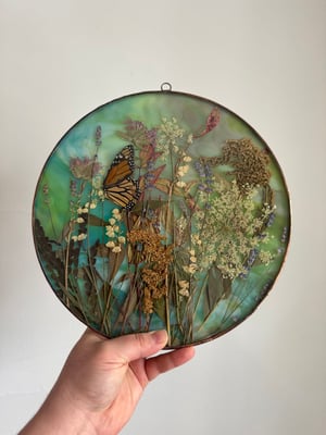 Wildflower field with monarch