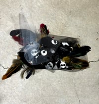 Image 1 of Feathered fish 