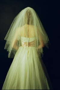 Image 4 of 1950s Wax Flower Veil 