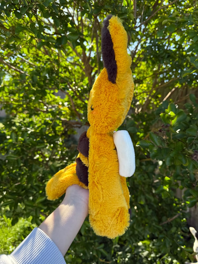 Image of Bee fox
