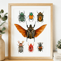 Image 1 of Beetle Study n.1 Watercolor Illustration PRINT 