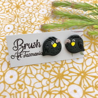 Yellow-tailed Black Cockatoo Studs