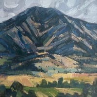 Image 1 of Cherry Bridgers