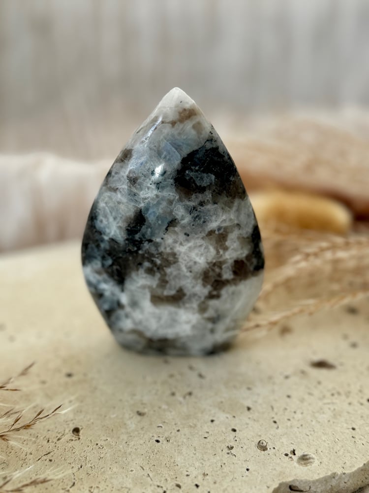 Image of Rainbow Moonstone Teardrop 