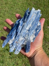 Image 18 of Blue Kyanite In Quartz Specimen #1783