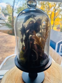 Image 3 of Cat Skull Large Terrarium 