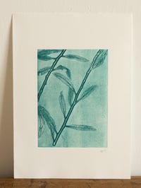 Image 1 of Willow Ghost Print A4 - Original Botanical Monoprint