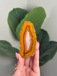 Image 1 of CONDOR AGATE -ARGENTINA- G