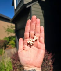 Chicken Vertebrae