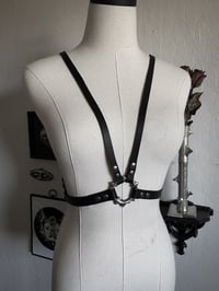 Image 4 of Thorns harness