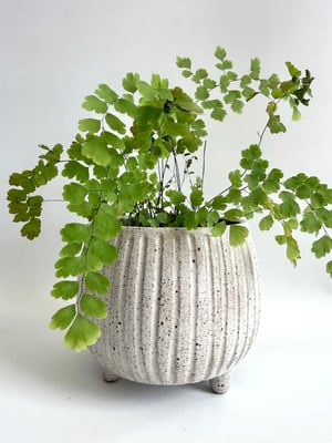 Image of Carved planter 