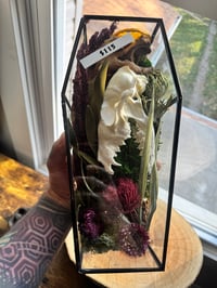 Image 1 of Fox Skull Coffin Terrarium 