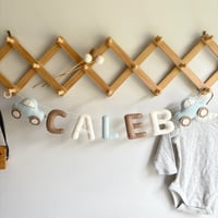 Image 1 of Car Name Garland - Hamptons