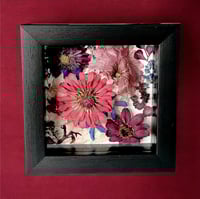 Image 3 of  Zinnias, Hollyhock, Cosmo, and Delphiniums  in a 6" X 6" Shadow Box (Item# 202508S)