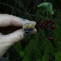 Image 1 of Dendrite Agate Bloom Ring~9