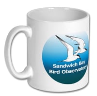 Image 3 of Dainty Damselfly - Sandwich Bay Bird Observatory 