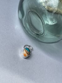 Image 11 of Oyster Turquoise 