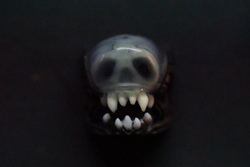 Glowskull Xeno (GID)
