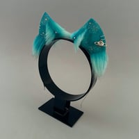 Image 2 of Galactic Turquoise Kitten