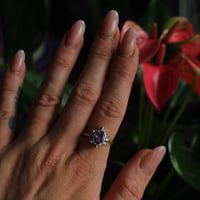 Image 4 of Amethyst Sun