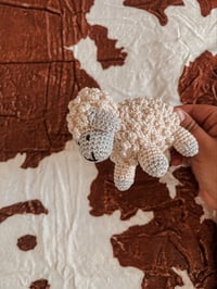 Image 1 of Crotchet Lamb 
