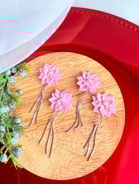 Image 4 of Poinsettias