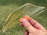 Image 10 of Copal Amber With Preserved Insects #2357