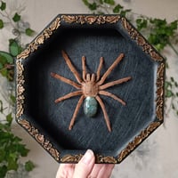 Image 2 of Framed Tarantula with Labradorite