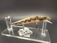 Image 2 of Craw 110 Jerkbait