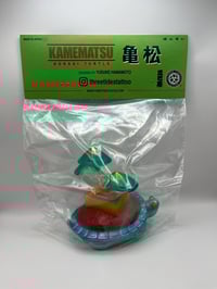 Image 9 of 亀松　BONSAI TURTLE  SOFBI 1 by YUSUKE HAMAMOTO