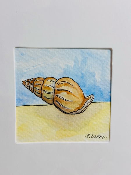 Image of Sea shell card