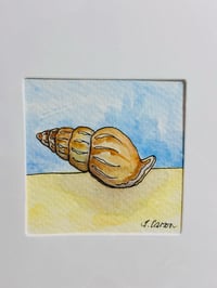 Sea shell card