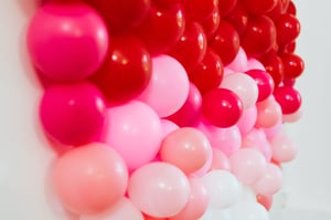 Image of Valentine in the Studio-Photographers