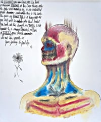 Image 1 of 14x17in. Drawing “Suburban Creature”