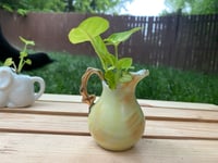 Image 2 of Arrowhead Vine in Small Tan Pear Creamer
