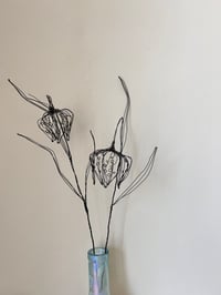 Image 2 of wire fritillary flower