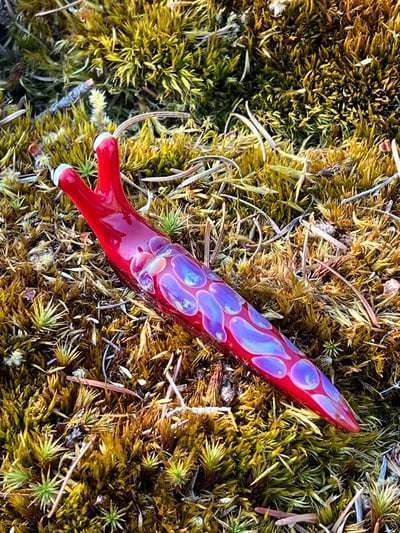 Image of Red Boro Slug