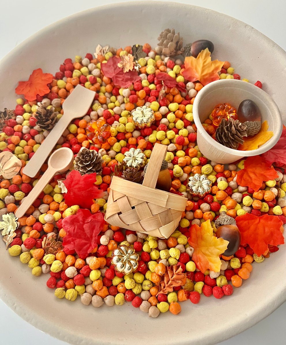 Fall Themed Sensory Tray, Montessori Inspired, Wooden, Wool, and Felt  Sensory Materials, Tray and Beans Included!