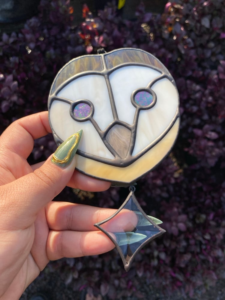 Image of Barn Owl with Star