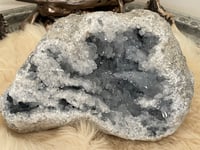 Image 20 of Celestite Geode #1801