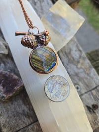 Image 4 of Electroformed Swamp Chestnut Oak acorn necklace 04