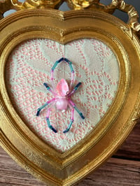 Image 3 of Jewel Spider 