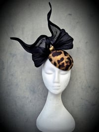 Image 1 of 'Bowie' in Leopard and black