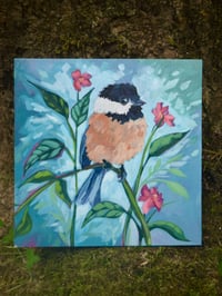 Image 2 of Bird Studies