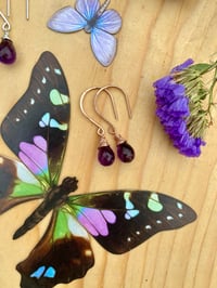 Image 3 of Simple Amethyst Earrings
