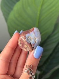 Image 2 of TUMBLED AGATE #28 -MALAWI-