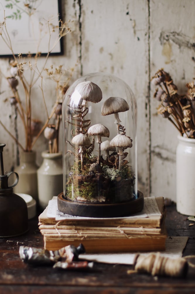 Image of Handcrafted Toadstools/Fungi