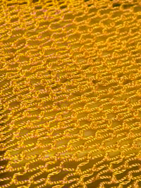 Image 4 of Authentic African Net Sponges - Open to choose size