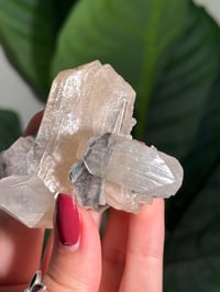 Image 3 of BOWTIE STILBITE X DIAMOND APOPHYLITE -INDIA- G