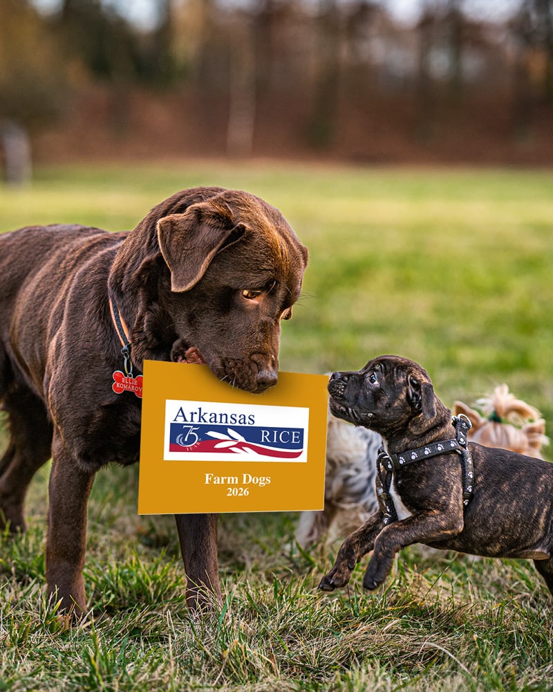2026 Arkansas Rice Farm Dog Calendar